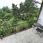 Vystaviste Bvv *