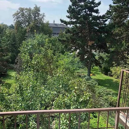 Хостел Vystaviste Bvv
