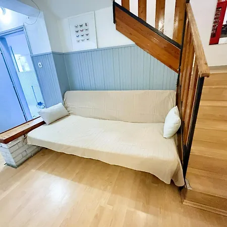 Vystaviste Bvv * Brno