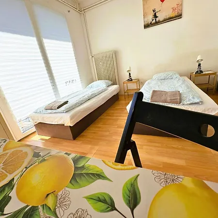 Vystaviste Bvv * Brno