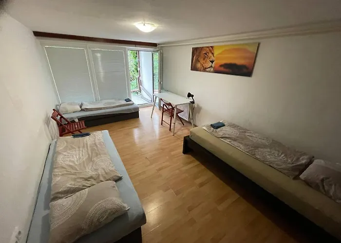 Vystaviste Bvv Brno