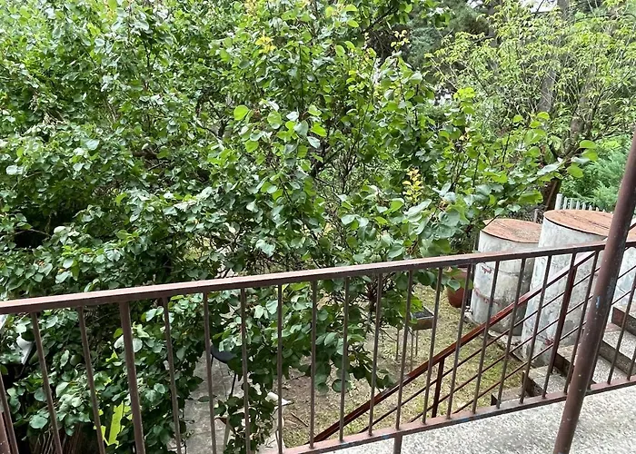 Vystaviste Bvv Hostel *